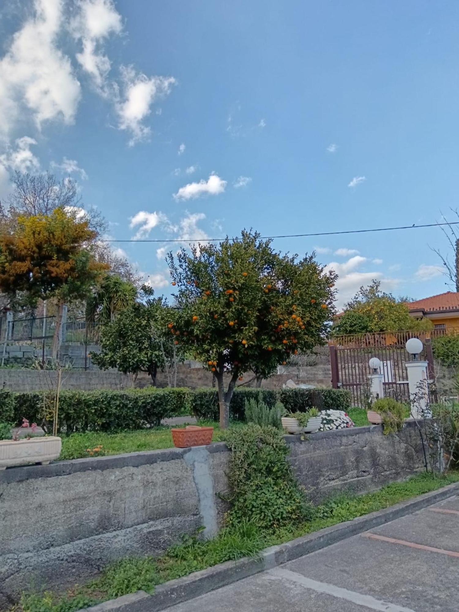 Abbentu Apartment Zafferana Etnea Ngoại thất bức ảnh